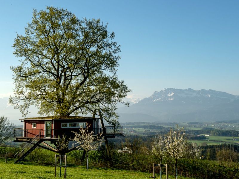 Baumhaus-Archehof-Chasa-Fent-Sent